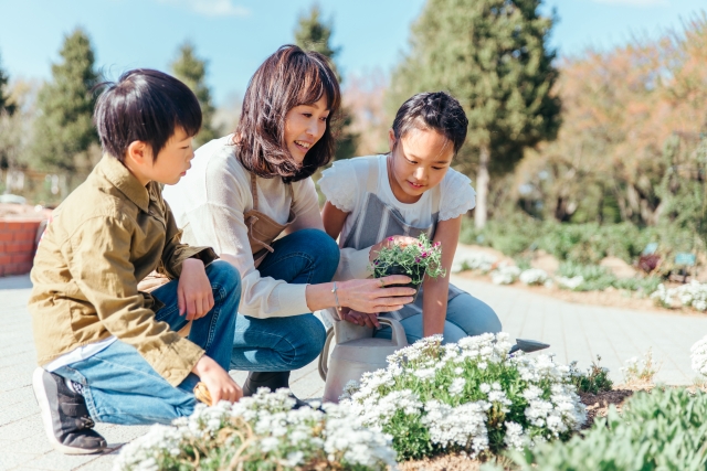 遺産分割協議書が必要なケースと不動産相続の注意点佐賀県三養基郡基山町編